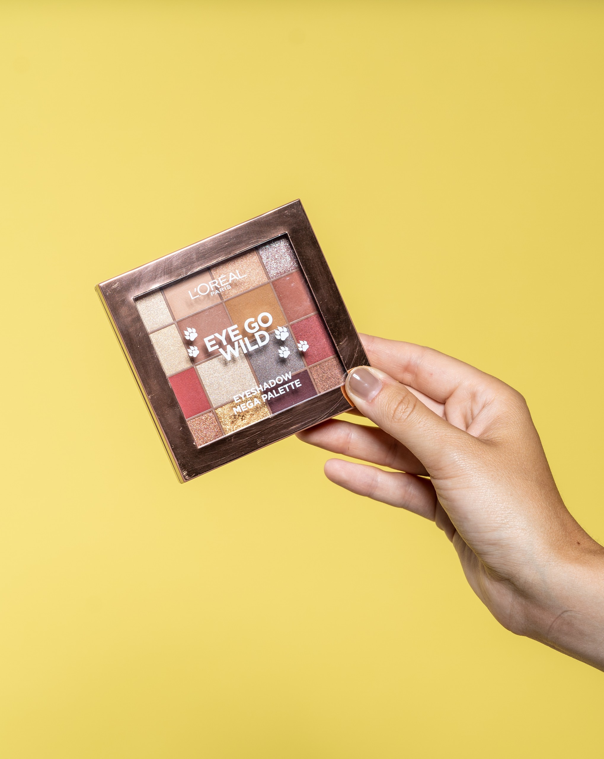 Lidschatten-Palette L'Oreal