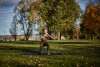 QuickWorkout_Uebung_2.5-min
