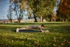 QuickWorkout_Uebung_4-min